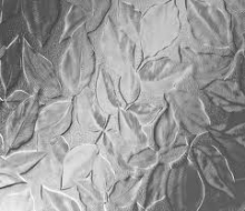Autumn Glass 1/4"